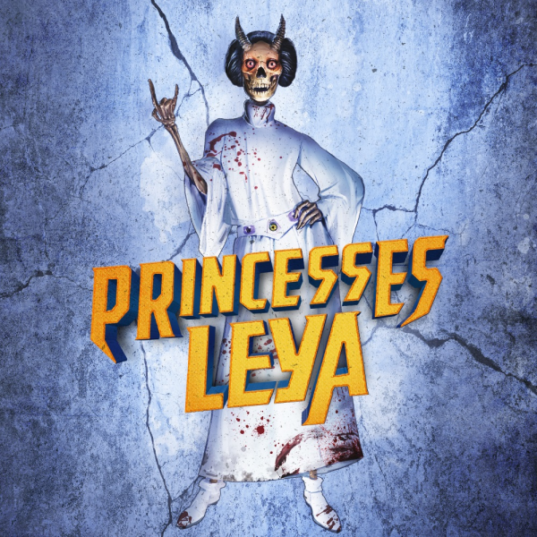 Artwork princesses leya bestfit 600x600